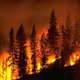 Illustration for article titled Why America Has Stronger Forest Fires Than Elsewhere In The World
